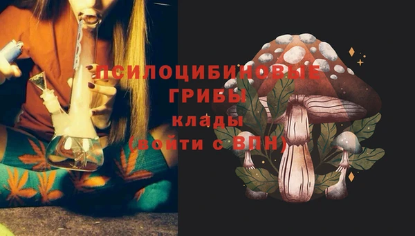 герыч Абаза