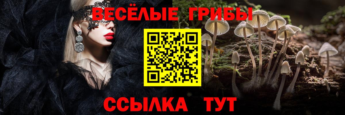 Галлюциногенные грибы мицелий  Галлюциногенные грибы MAGIC MUSHROOMS  Вход с VPN  купить наркотики сайты  Краснокамск 